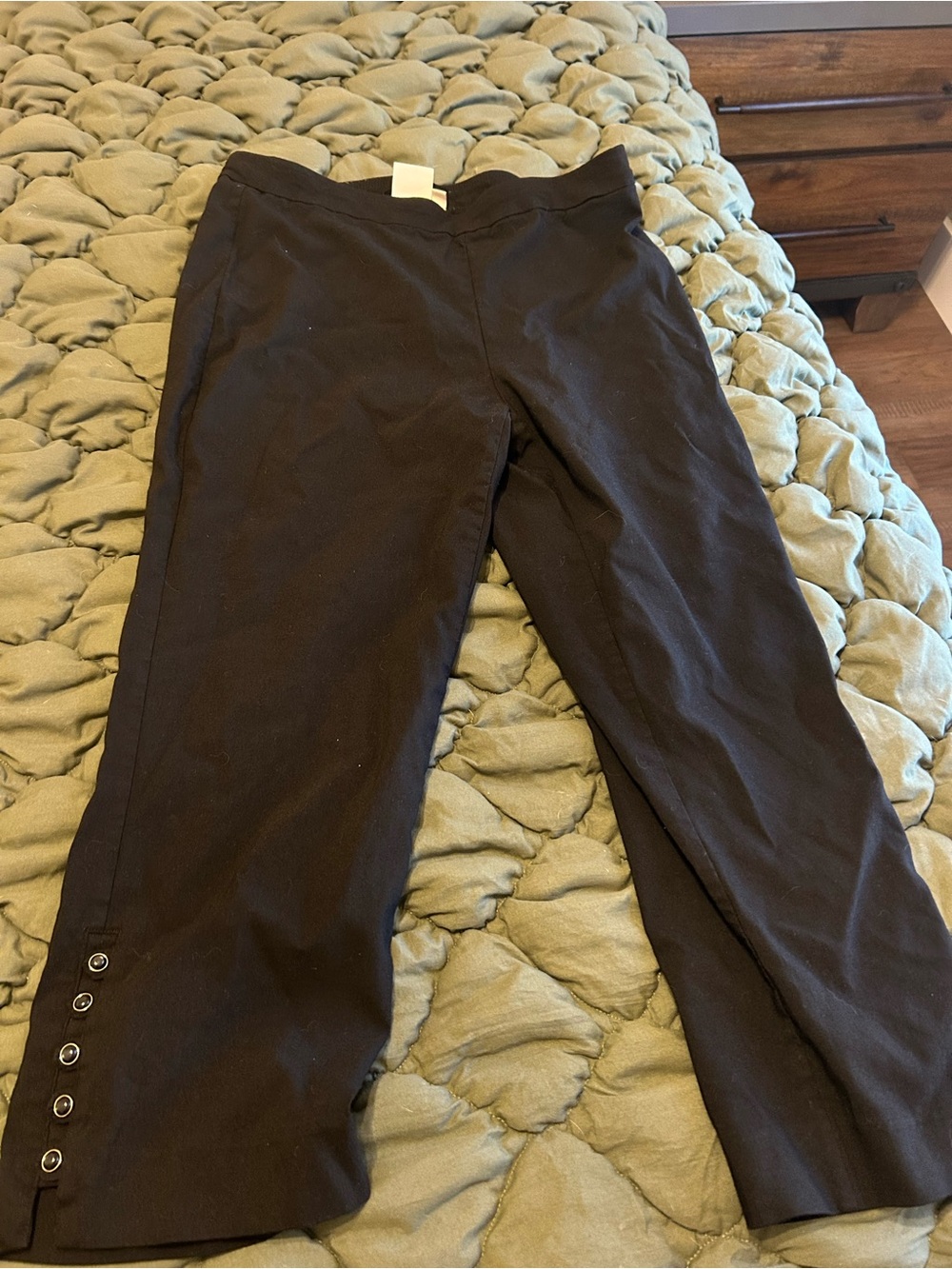 Zac & Rachel Black Cropped Eyelet-Hem Pull-On Pants - Picture 2 of 7
